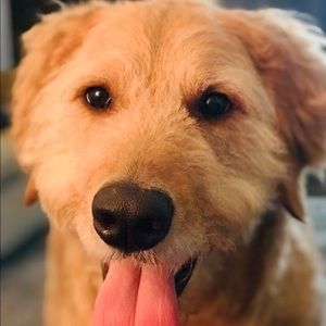 Meet your Posher, Christy